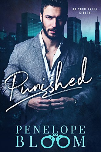 Punished book cover