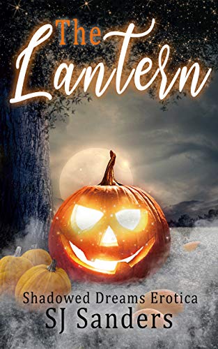 Shadowed Dreams book cover 1