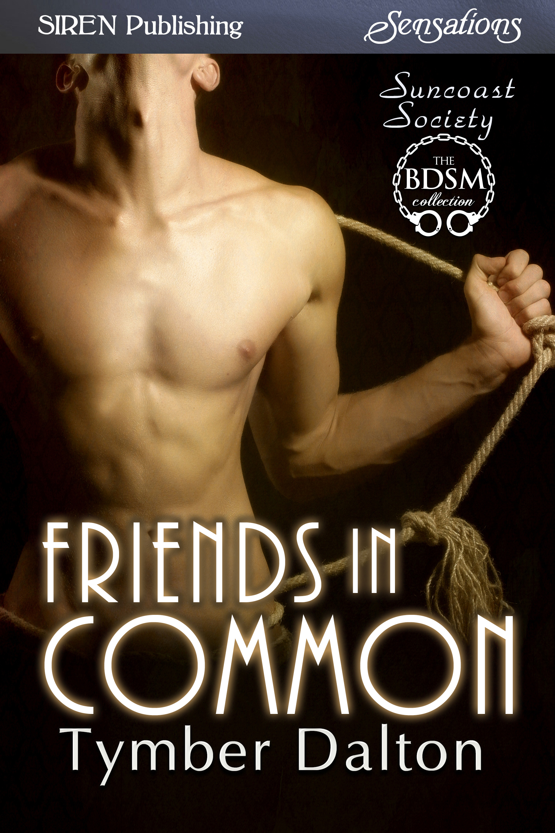 Friends in Common book cover