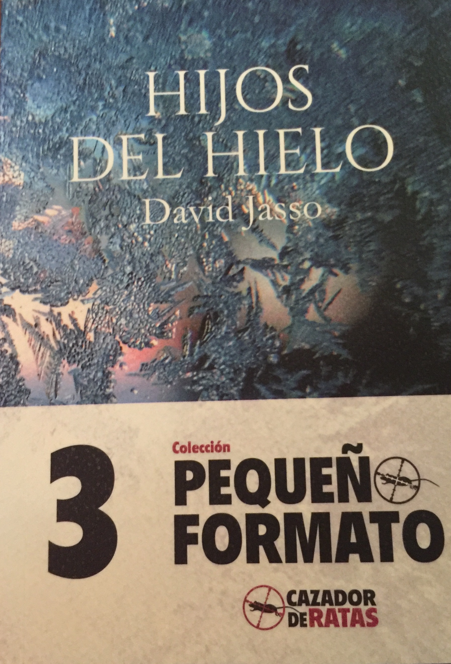 Hijos del hielo book cover