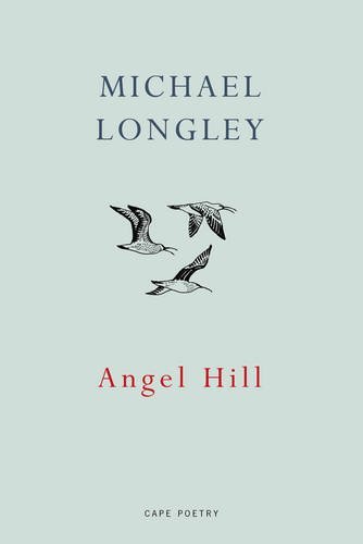 Angel Hill book cover