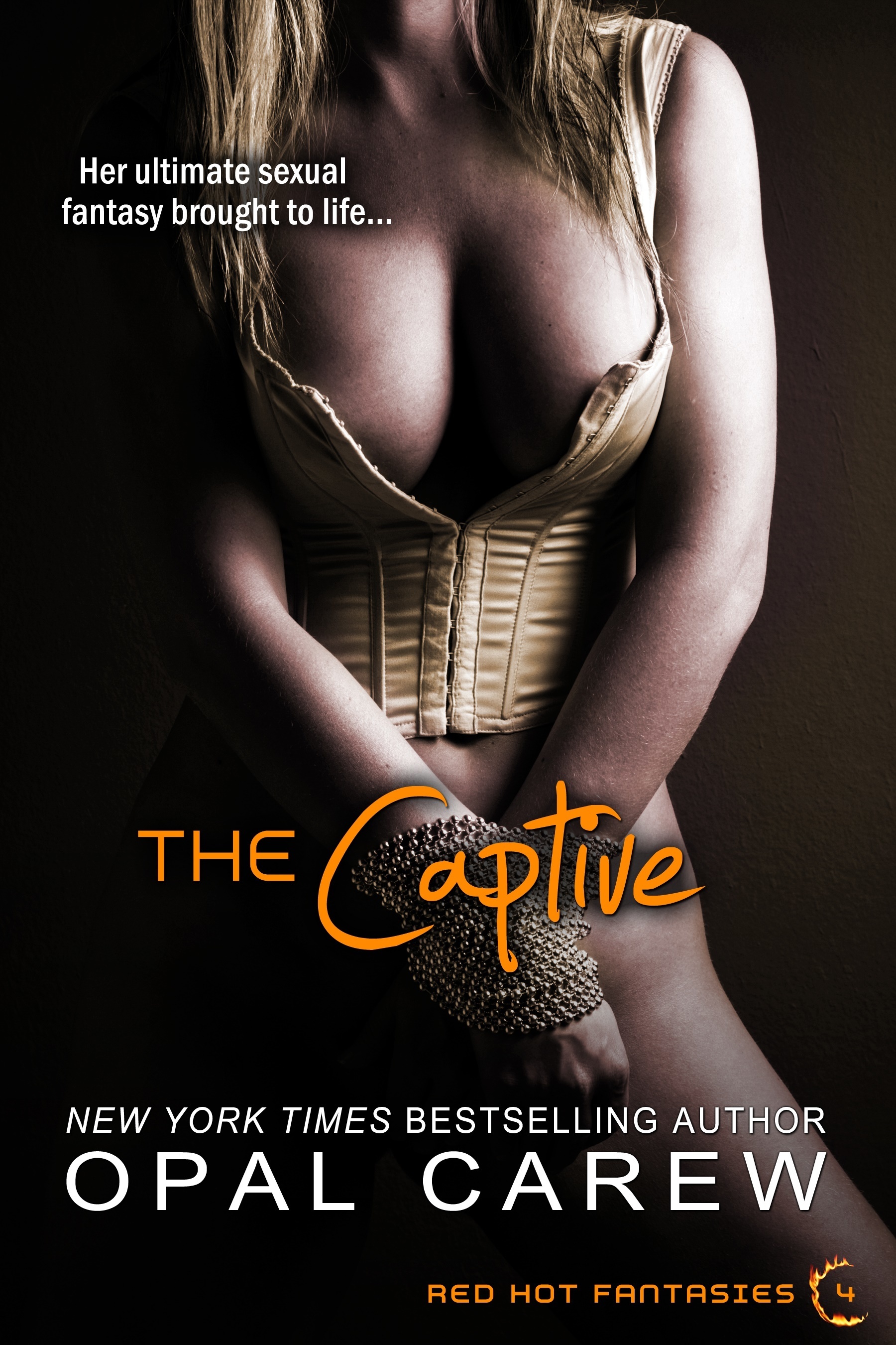 The Captive book cover