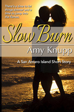 Slow Burn book cover