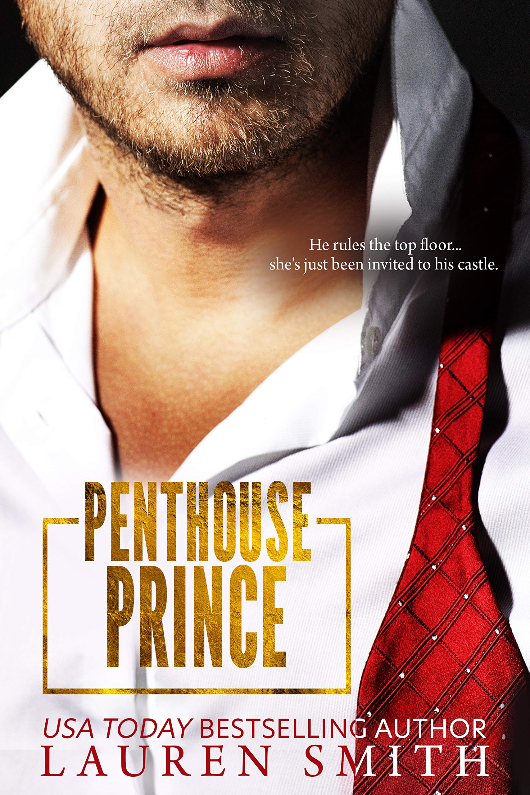 Penthouse Prince book cover