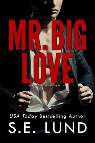 Mr. Big book cover 2