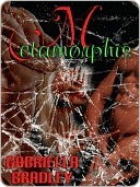 Metamorphis book cover
