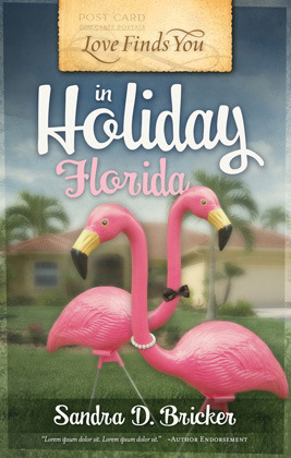 Love Finds You in Holiday, Florida book cover