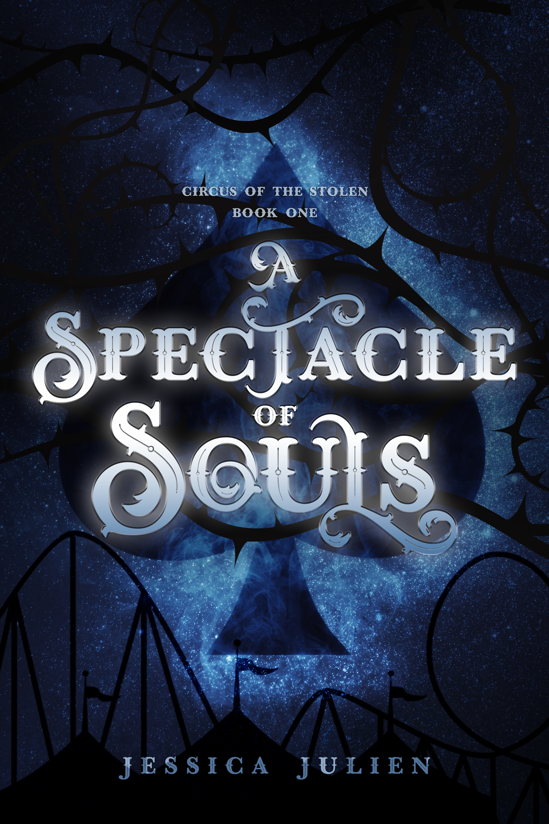 Circus of the Stolen book cover 1