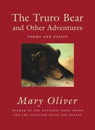 The Truro Bear and Other Adventures book cover