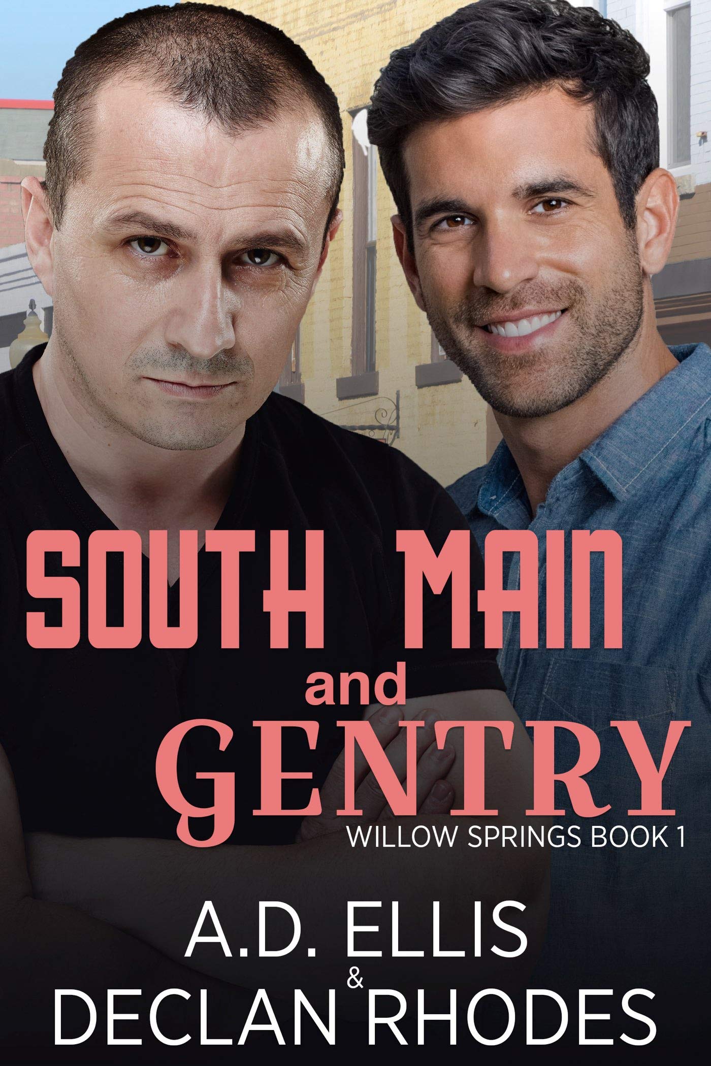 Willow Springs book cover 1