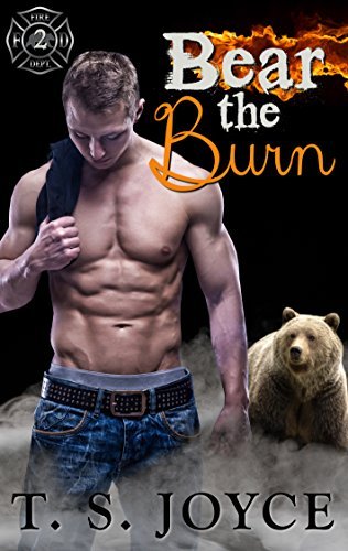 Fire Bears book cover 2