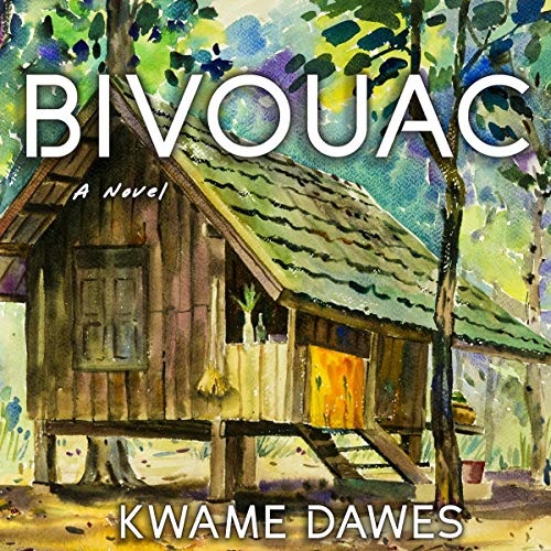 Bivouac book cover