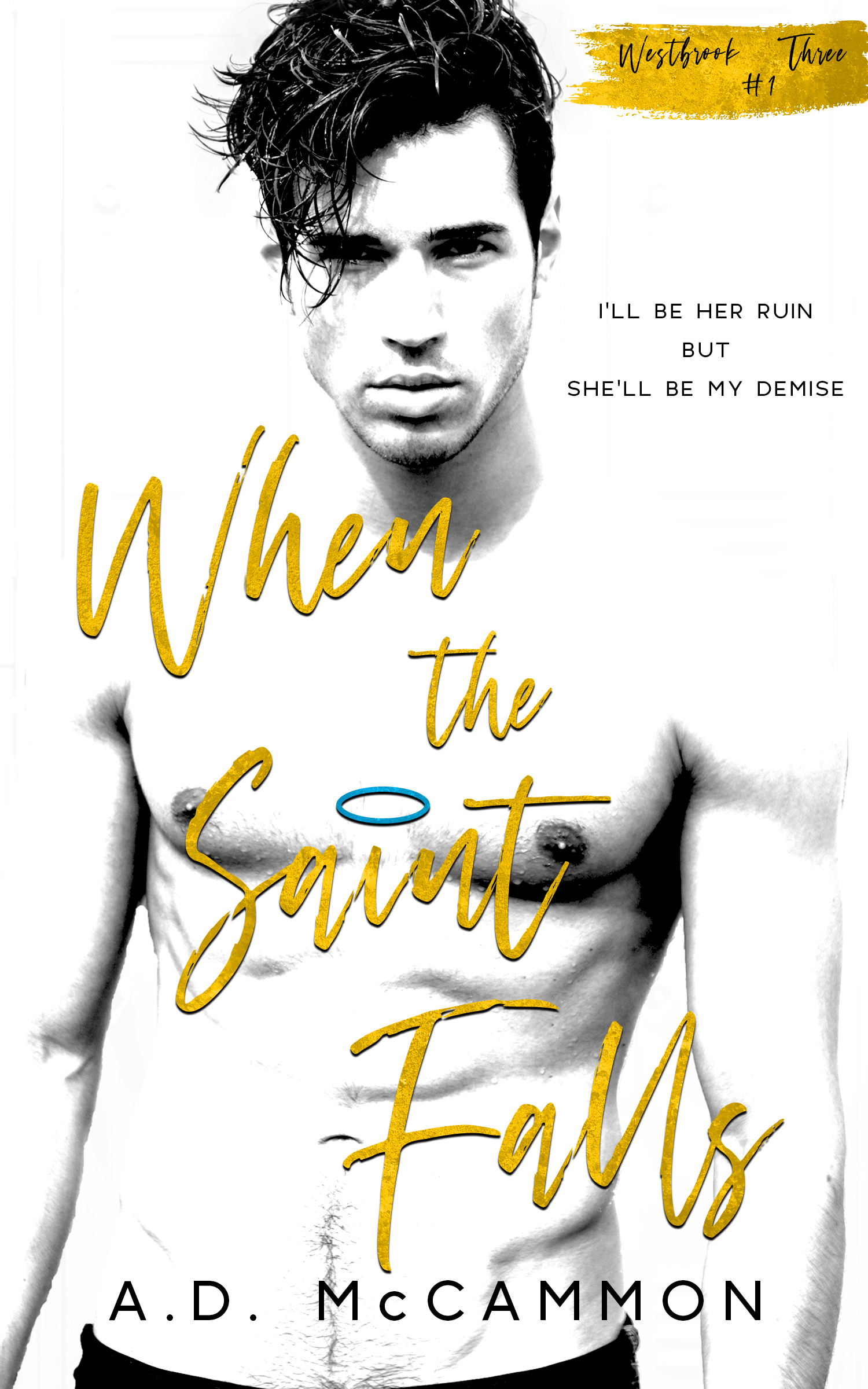 Westbrook book cover 1