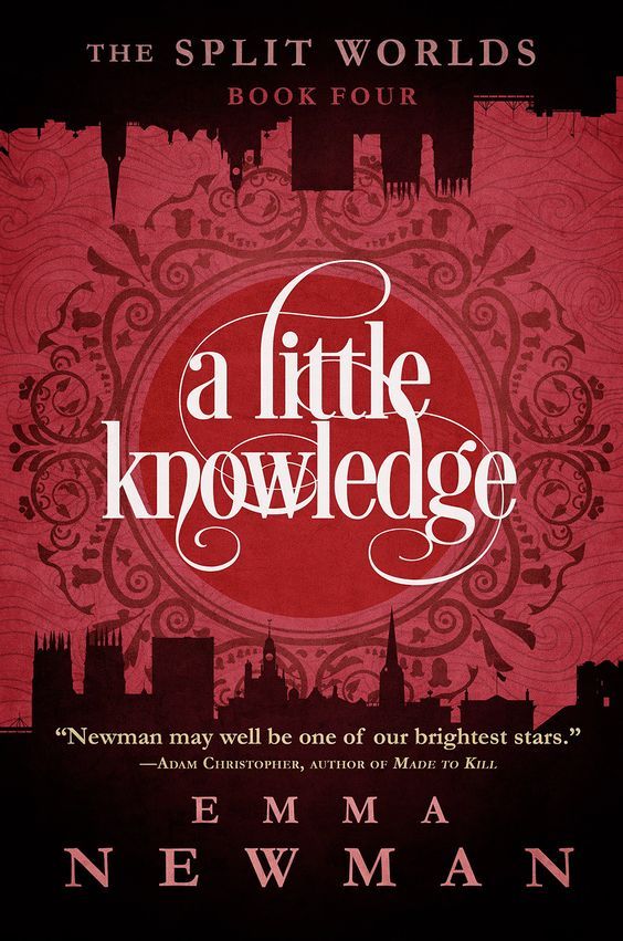 A Little Knowledge book cover