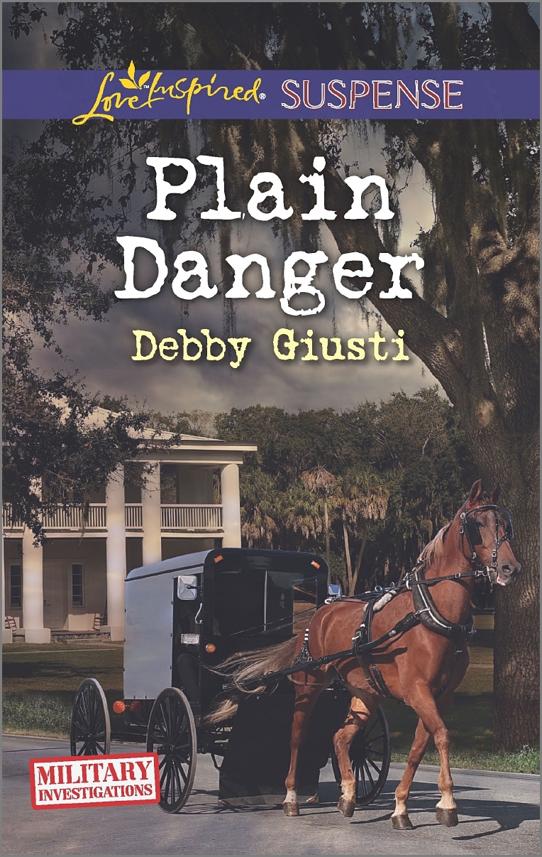 Plain Danger book cover