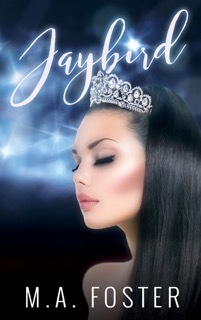 Heritage Bay book cover 1