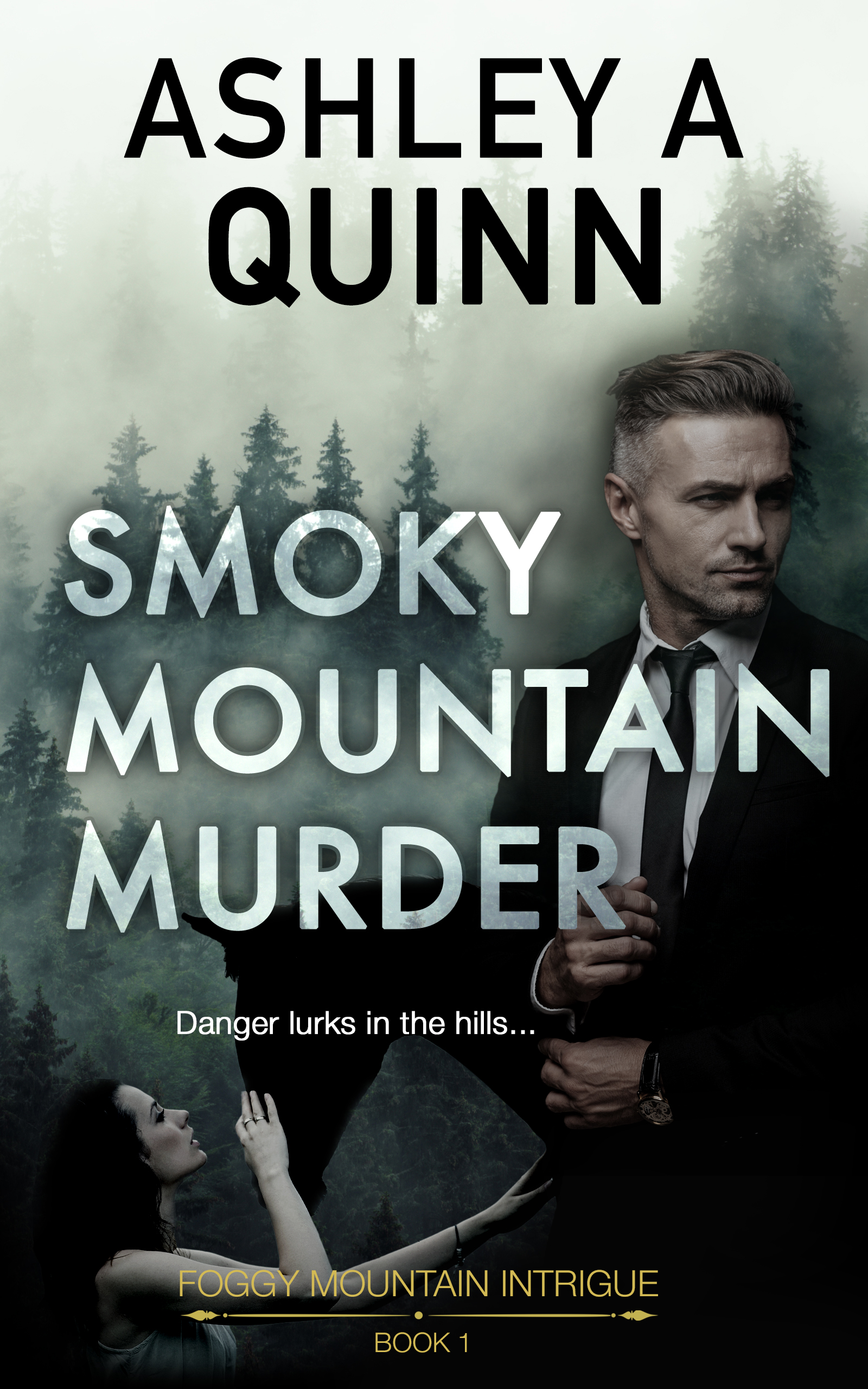 Foggy Mountain Intrigue book cover 1