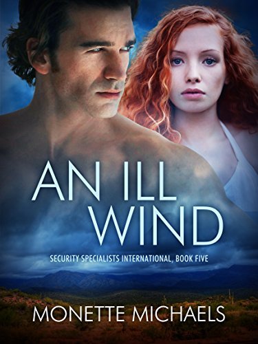 An Ill Wind book cover