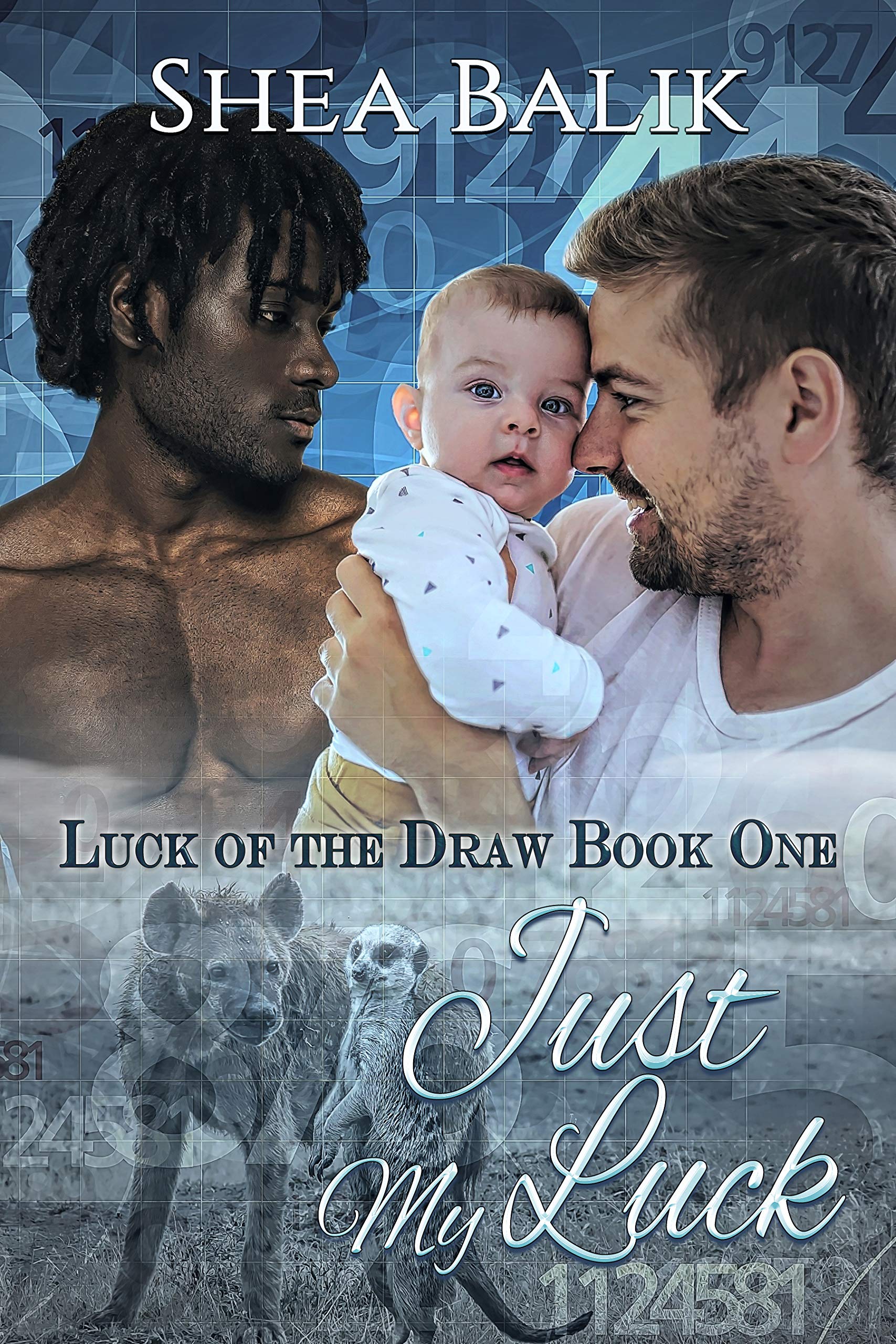 Luck of the Draw book cover 1