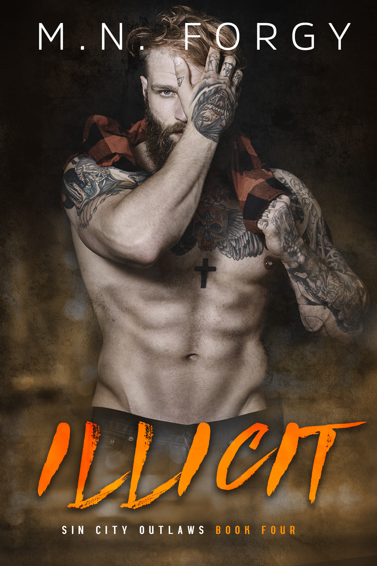 Illicit book cover