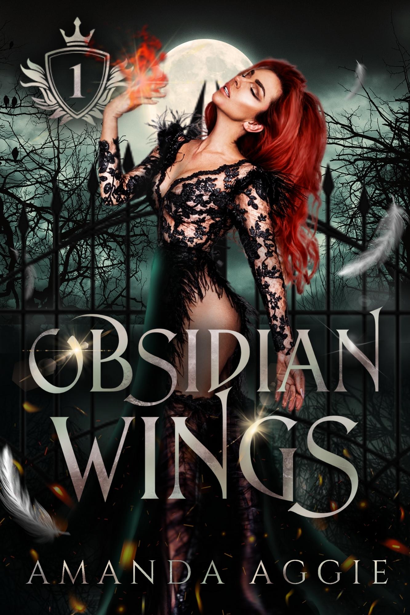 Obsidian Wings book cover