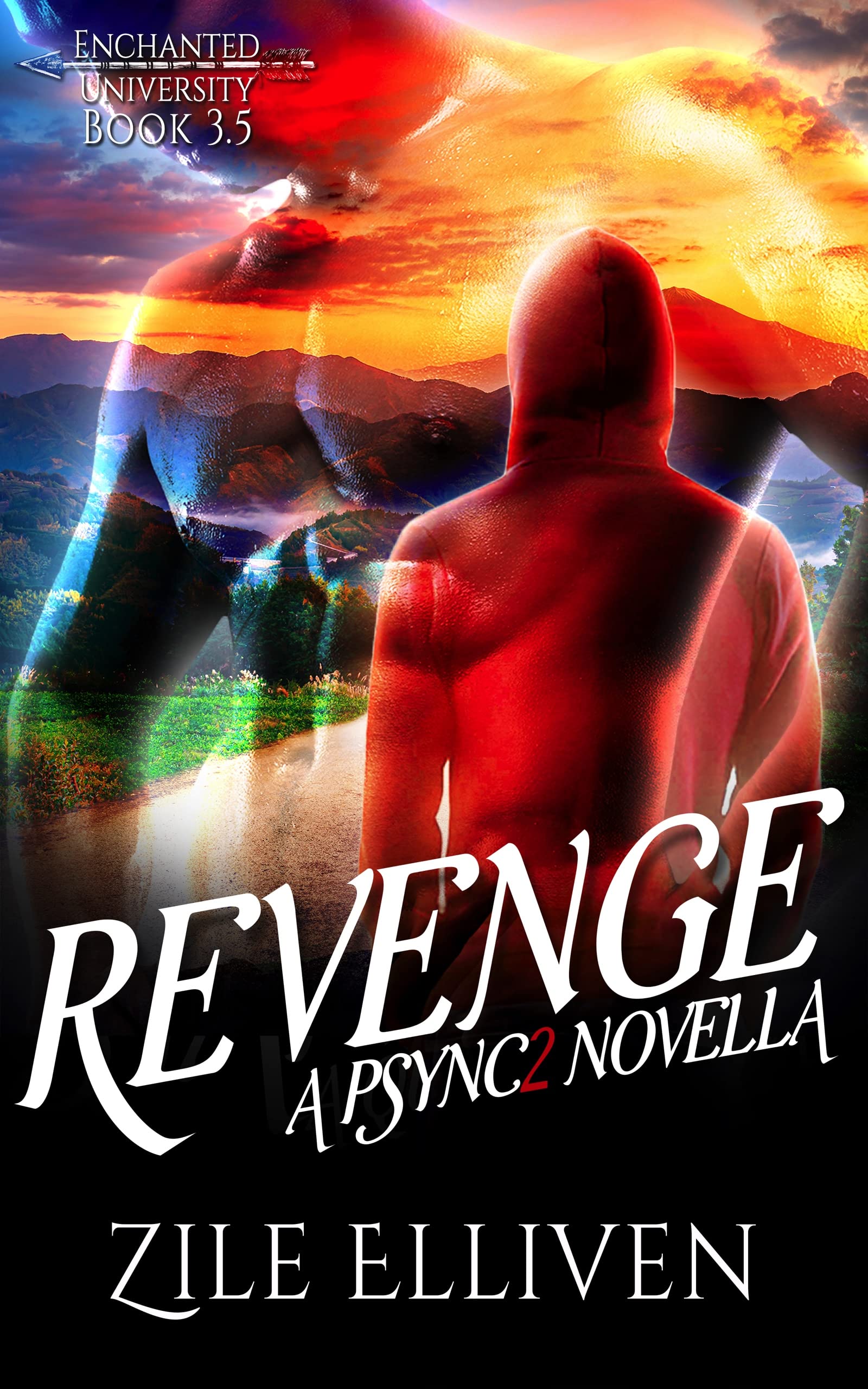Revenge book cover
