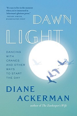 Dawn Light book cover