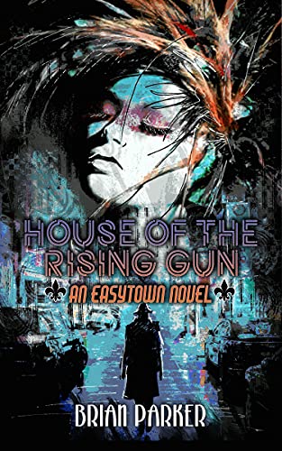 House of the Rising Gun book cover