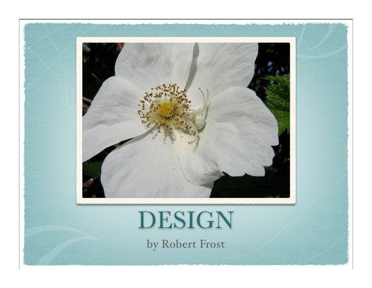 Design book cover