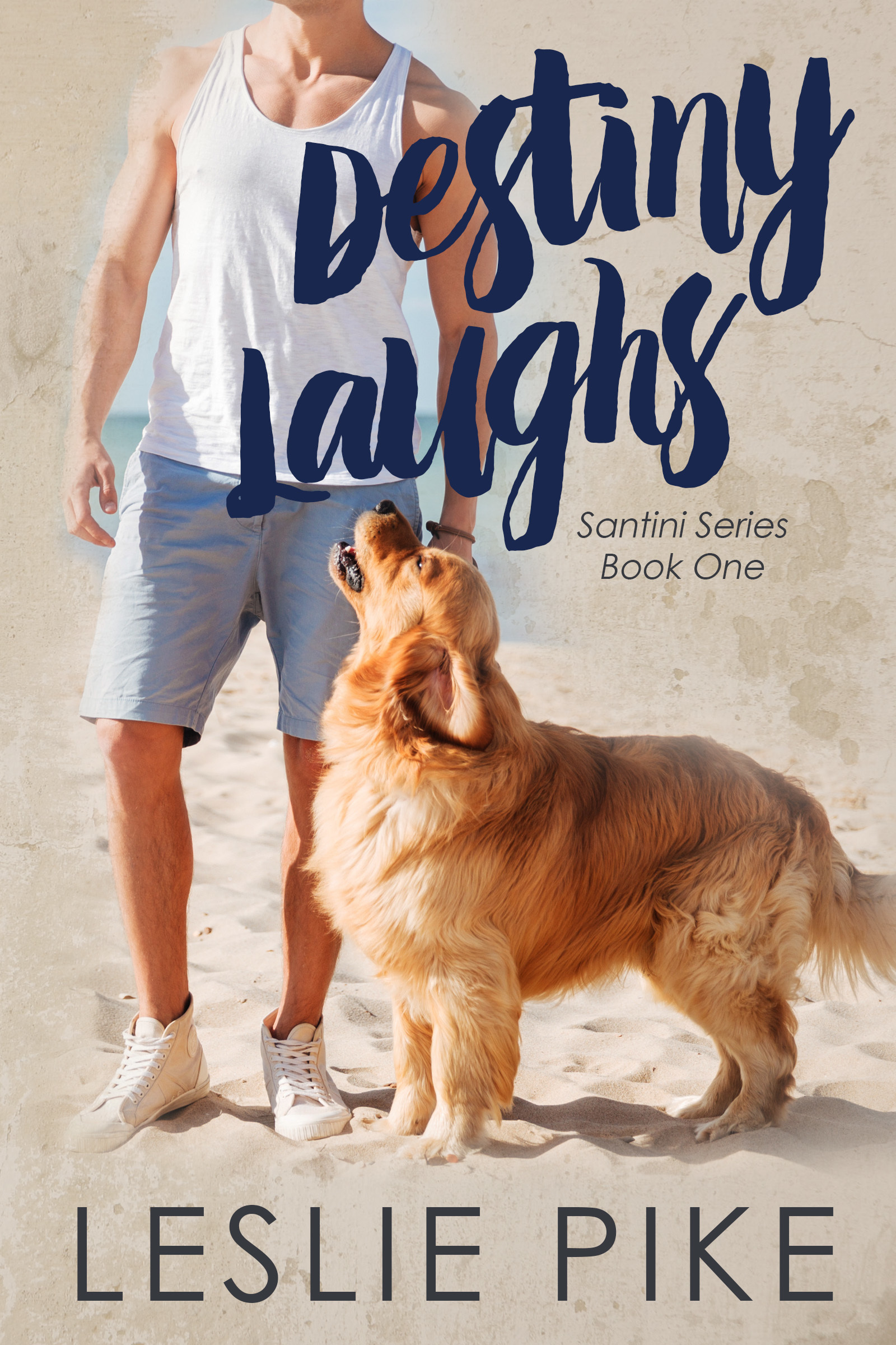 Santini book cover 1