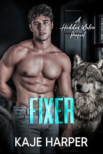 Fixer book cover
