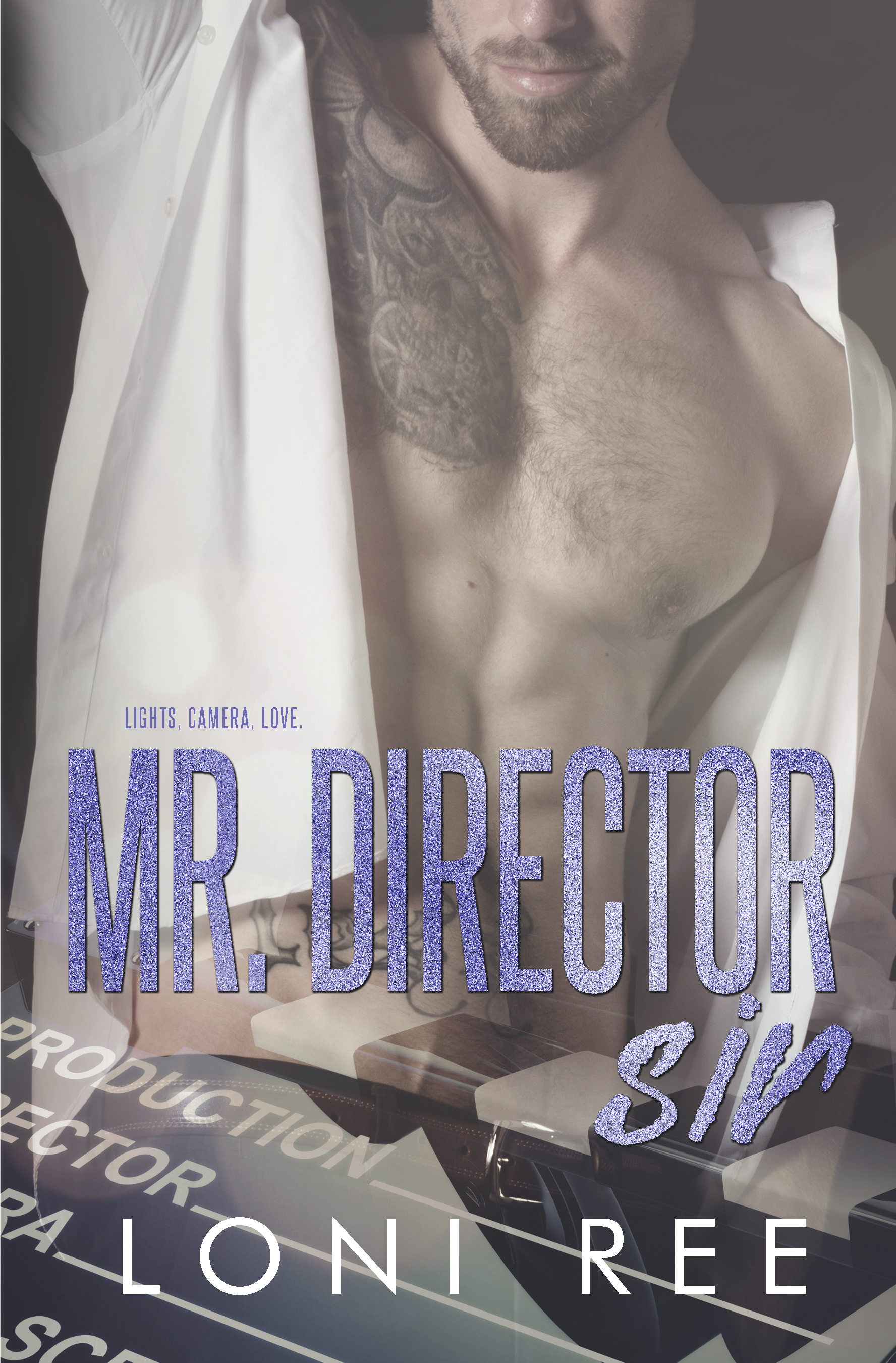 Mr. Director Sir book cover