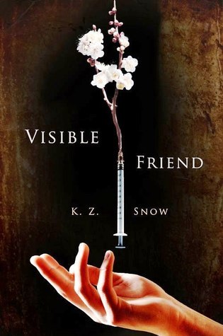 Visible Friend book cover
