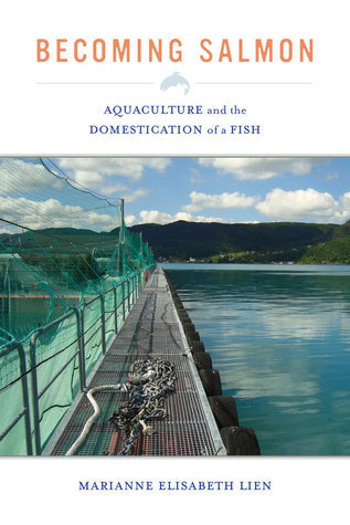 Becoming Salmon book cover