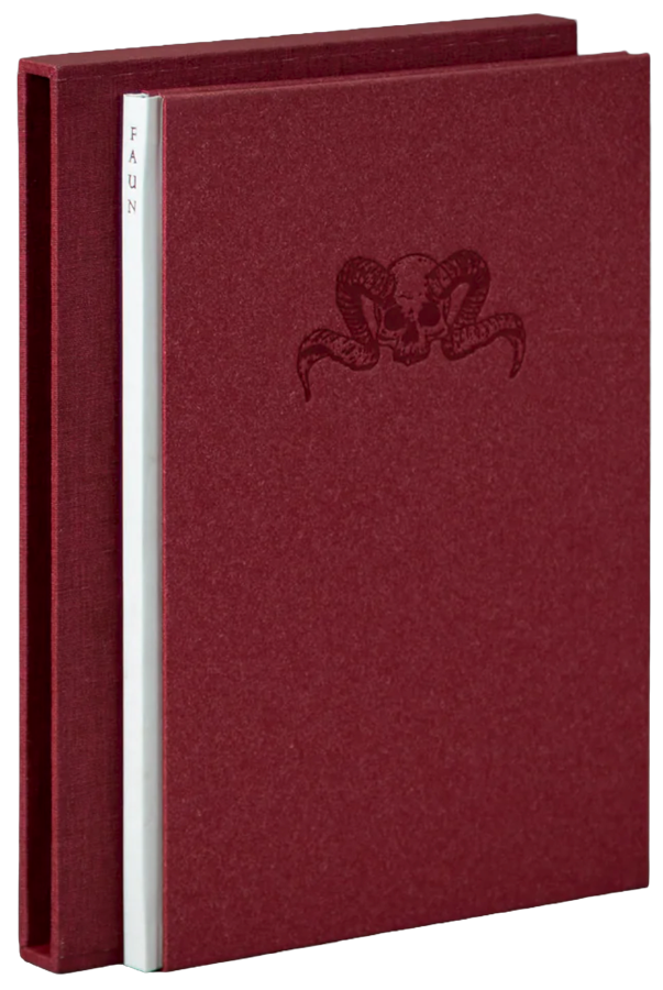 Faun book cover