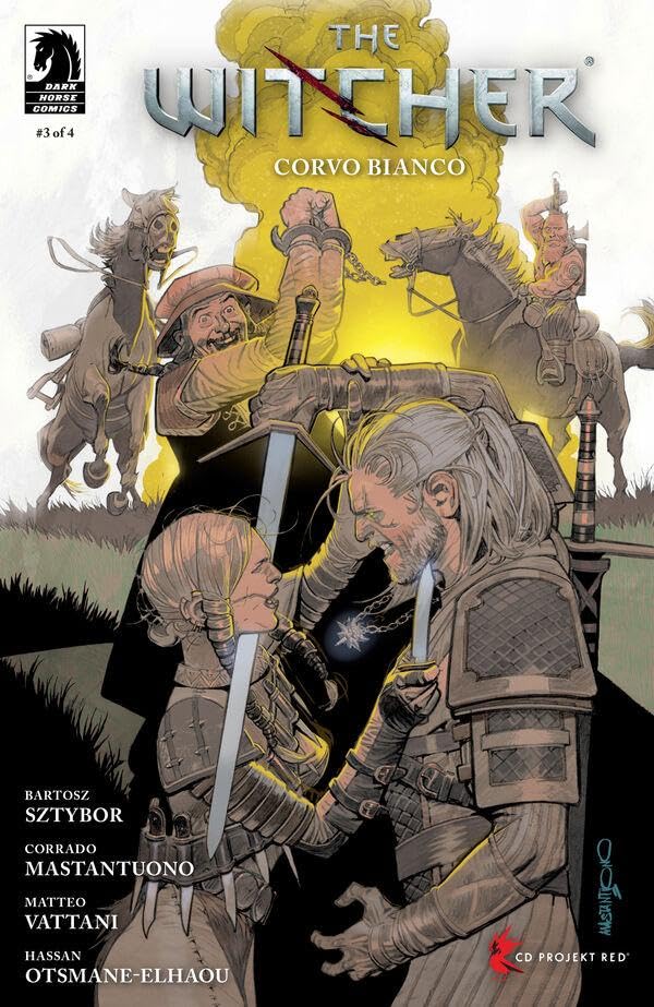 The Witcher book cover