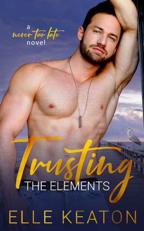Never Too Late book cover 1