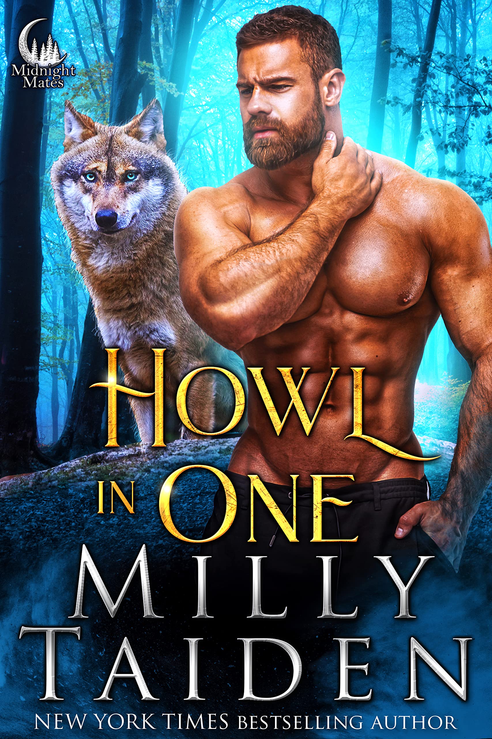 The Howl Day book cover