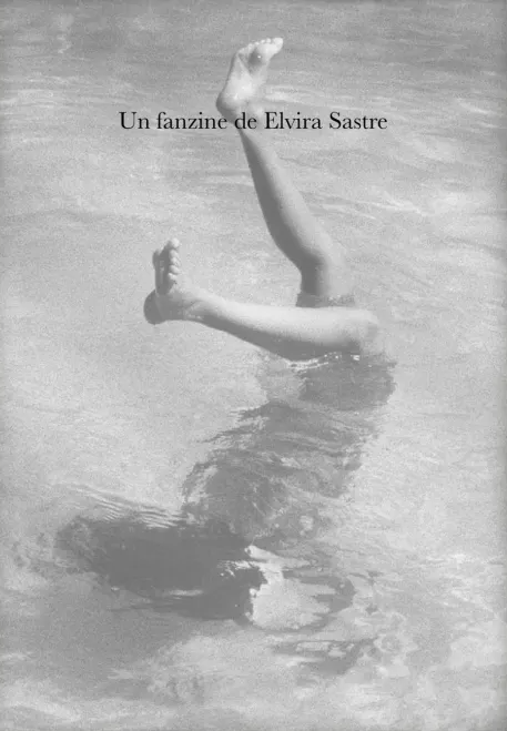 Fanzine book cover