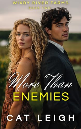 More Than Enemies book cover