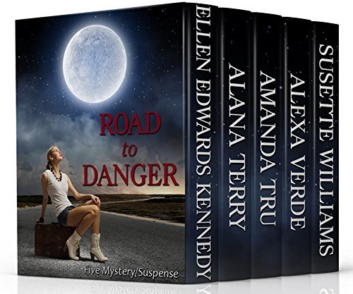 Road to Danger book cover