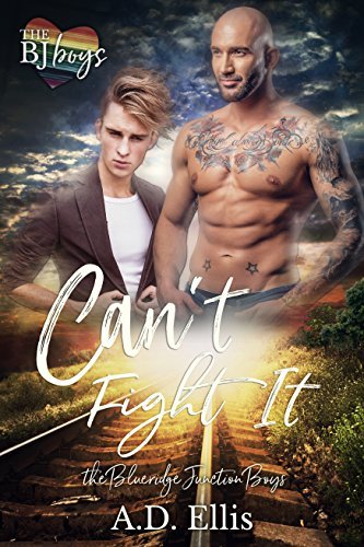 The Blueridge Junction Boys book cover 2