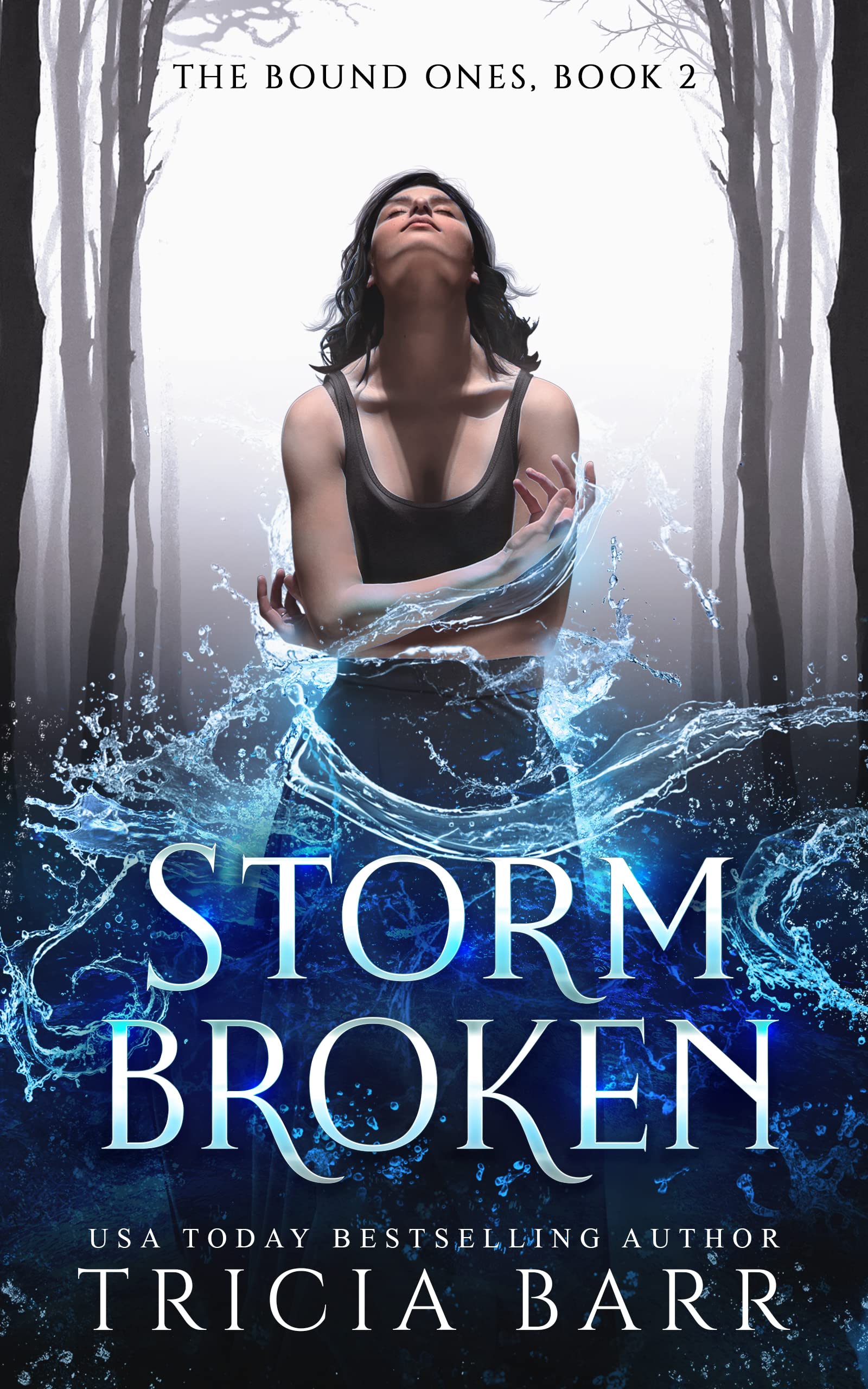 Storm Broken book cover
