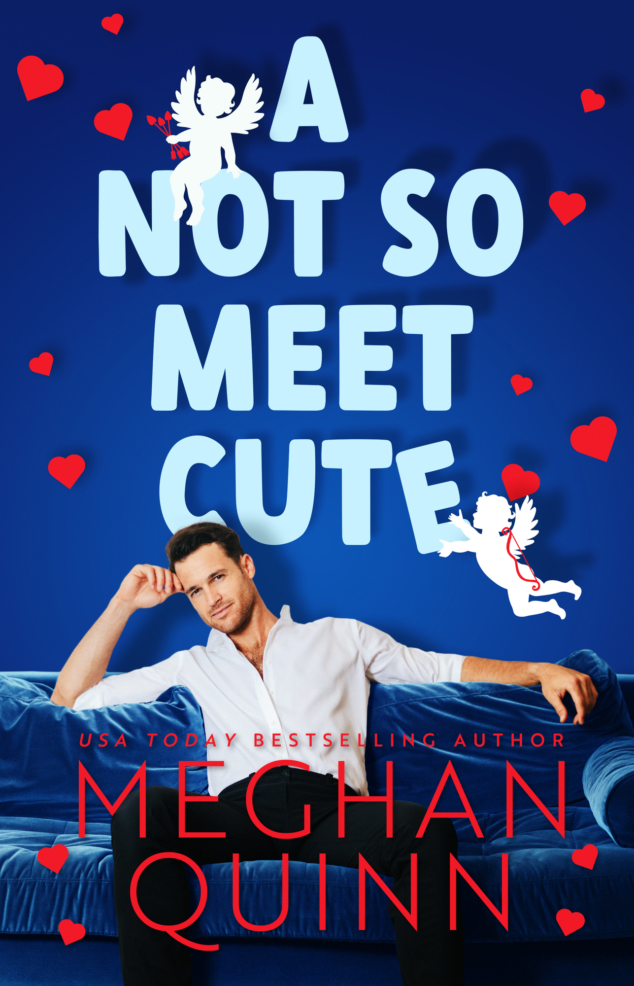 Cane Brothers book cover 1