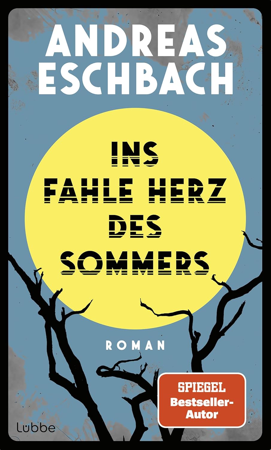 Ins fahle Herz des Sommers book cover