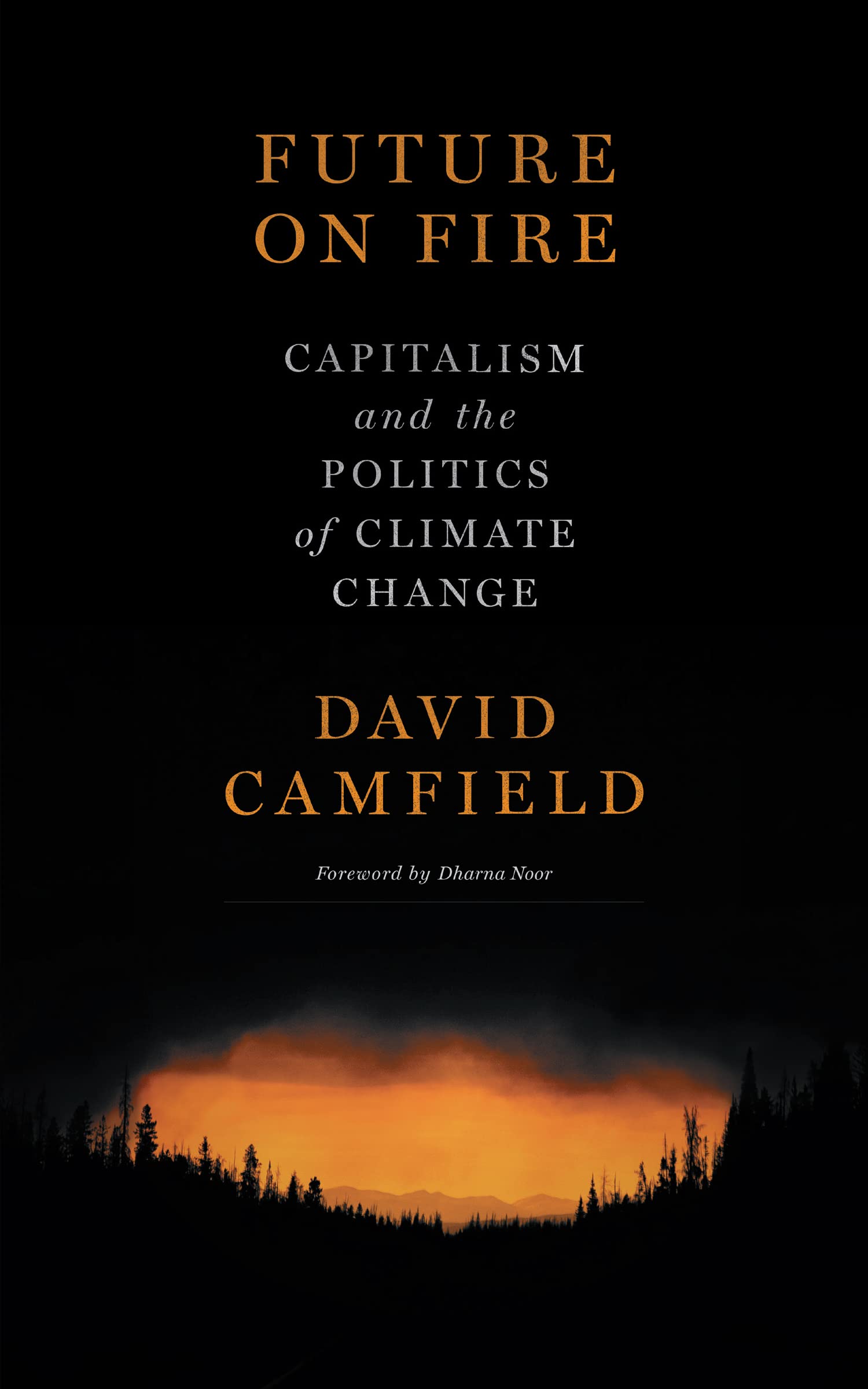 Future on Fire book cover