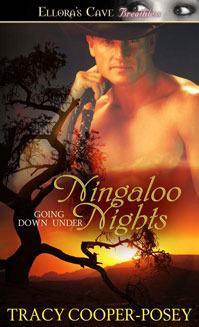 Ningaloo Nights book cover