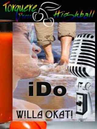 iDo book cover
