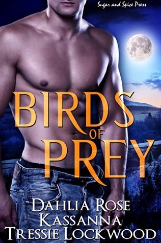 Birds of Prey book cover