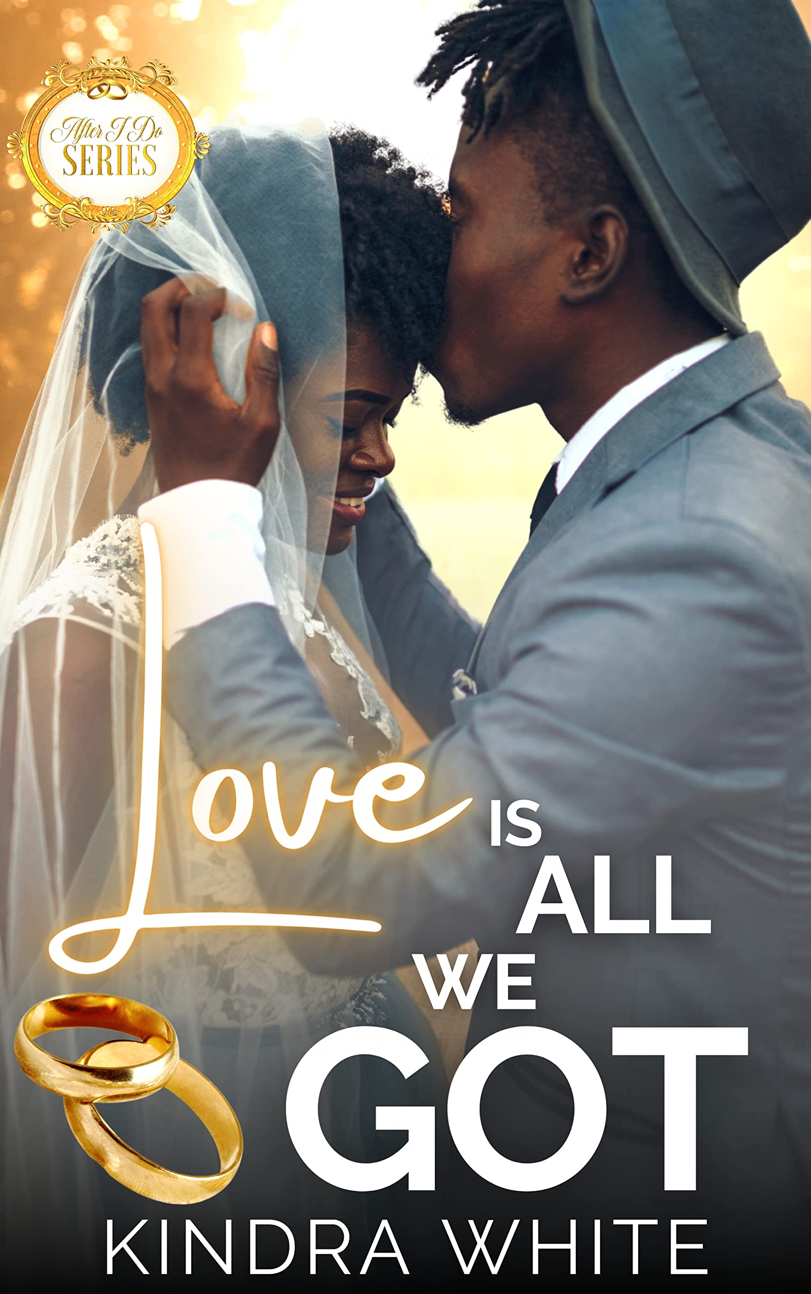 Love is All We Got book cover